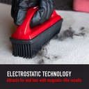 Carpet Lint & Hair Removal Brush