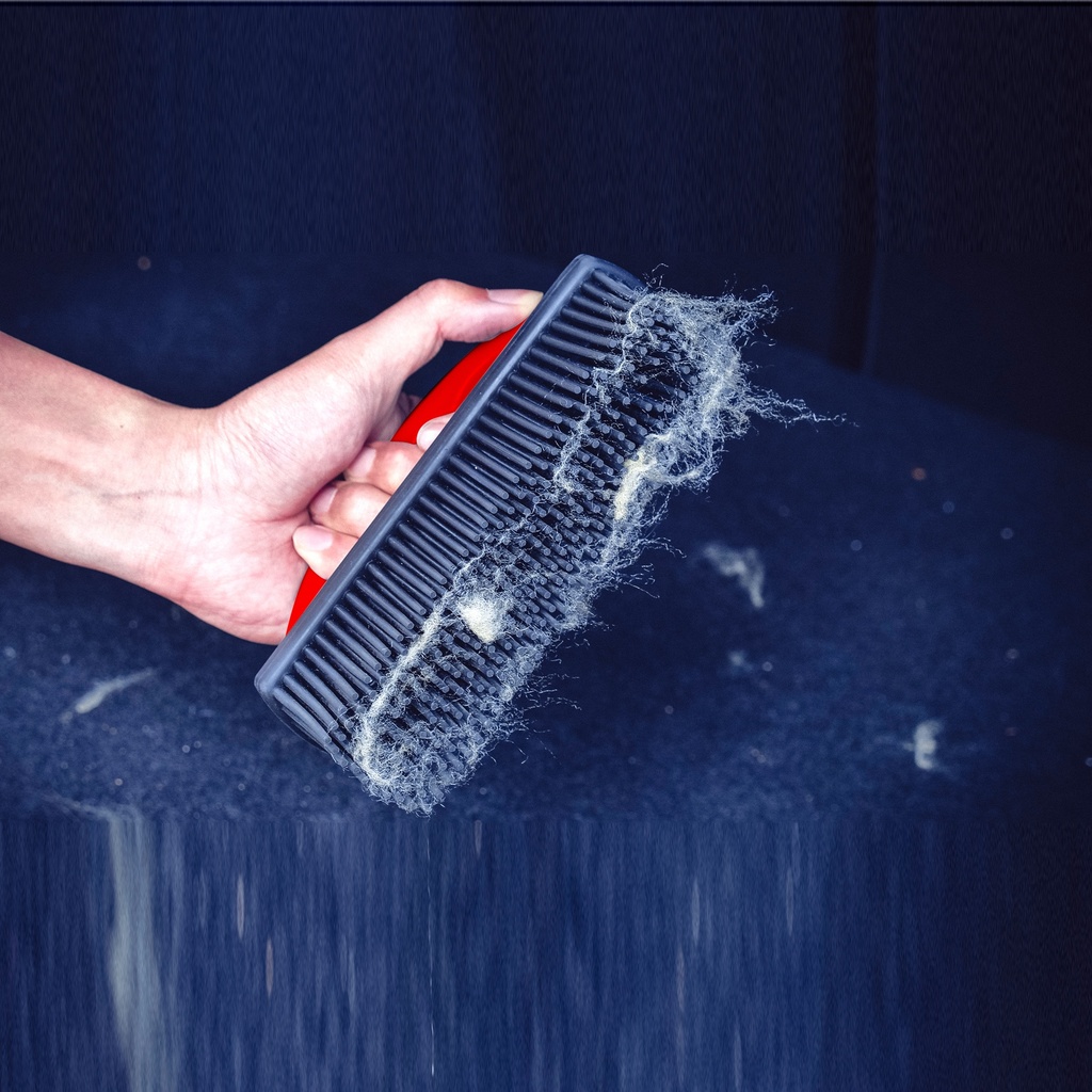 Carpet Lint & Hair Removal Brush