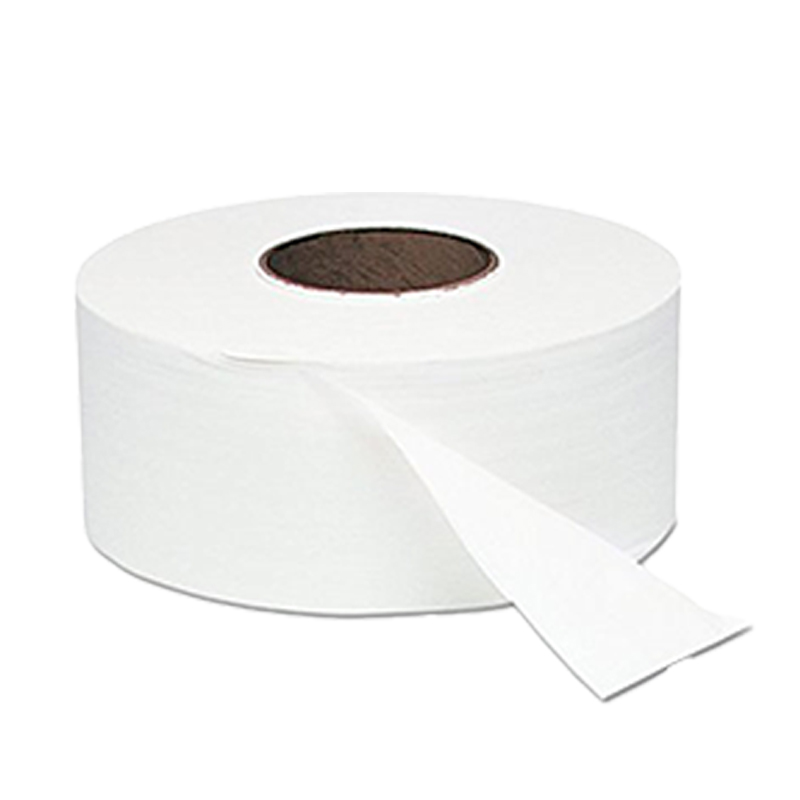 Dela Care AFH02 9" Jumbo Roll Tissue 2 Ply (6 Rolls/Case)